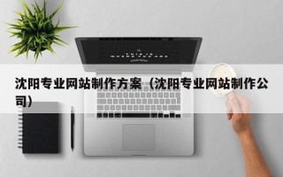 淮滨沈阳专业网站制作方案（沈阳专业网站制作公司）